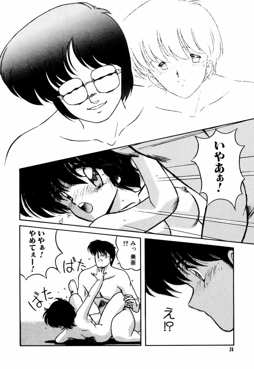 Gomenne Mina-chan 5 - Page 25