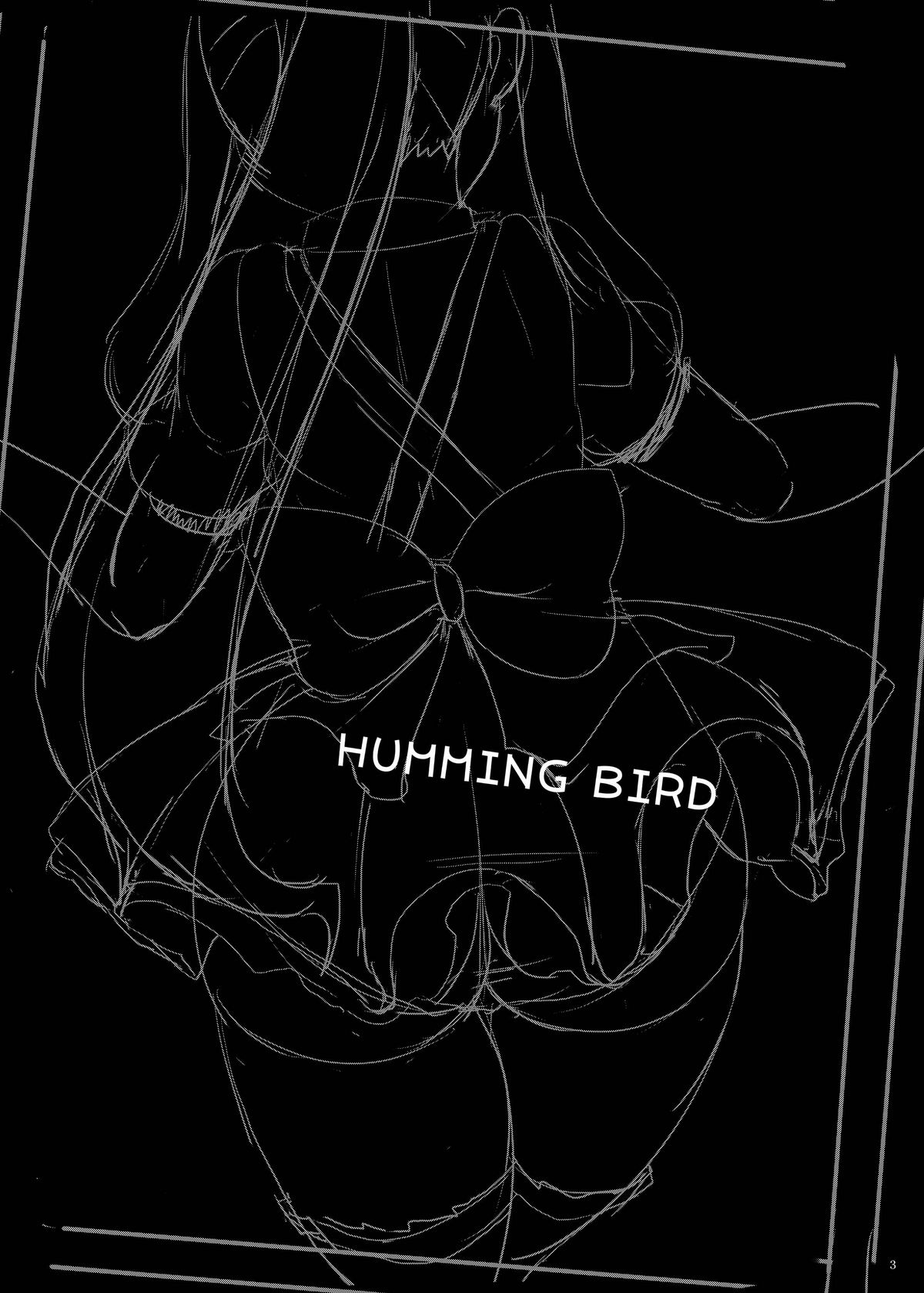 HUMMING BIRD - Page 3
