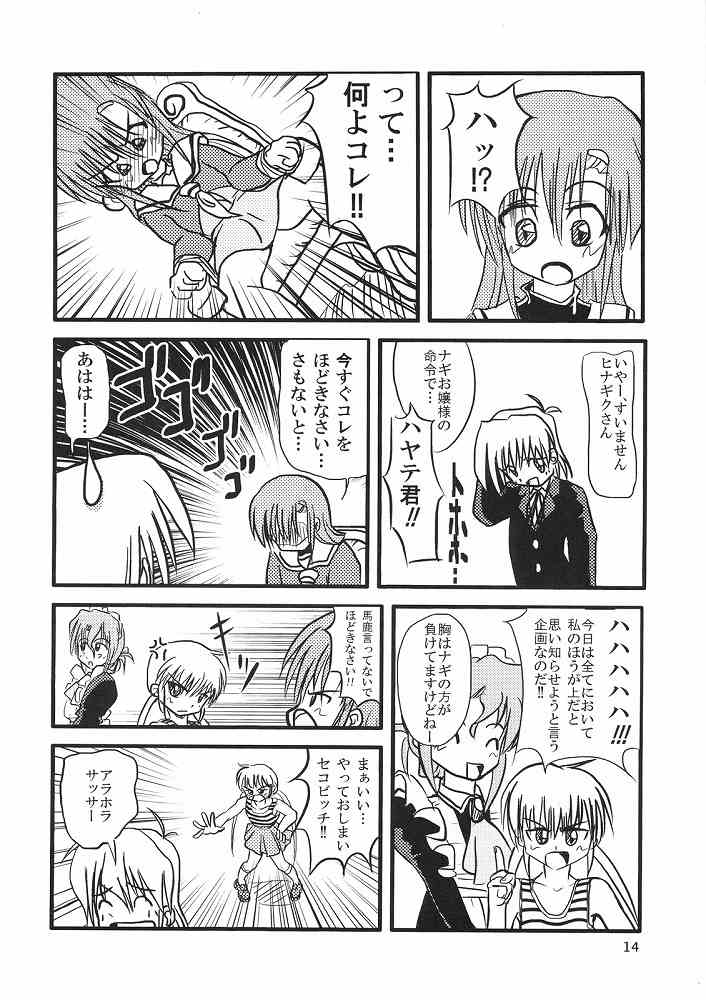 Hayate ni yoru fukuonsho - Page 13