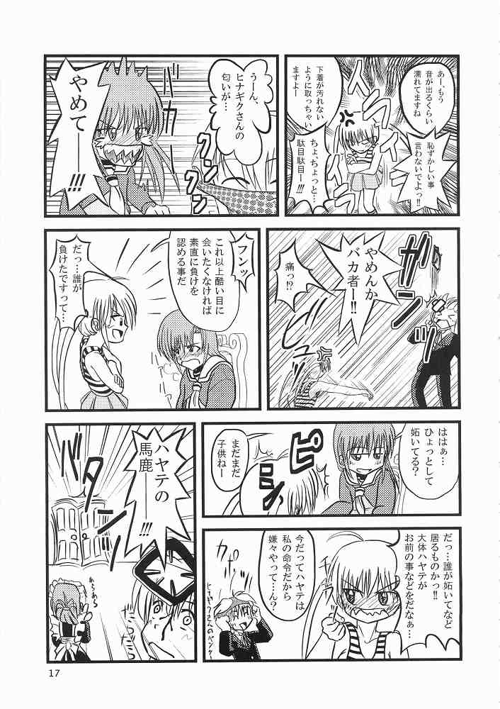 Hayate ni yoru fukuonsho - Page 16
