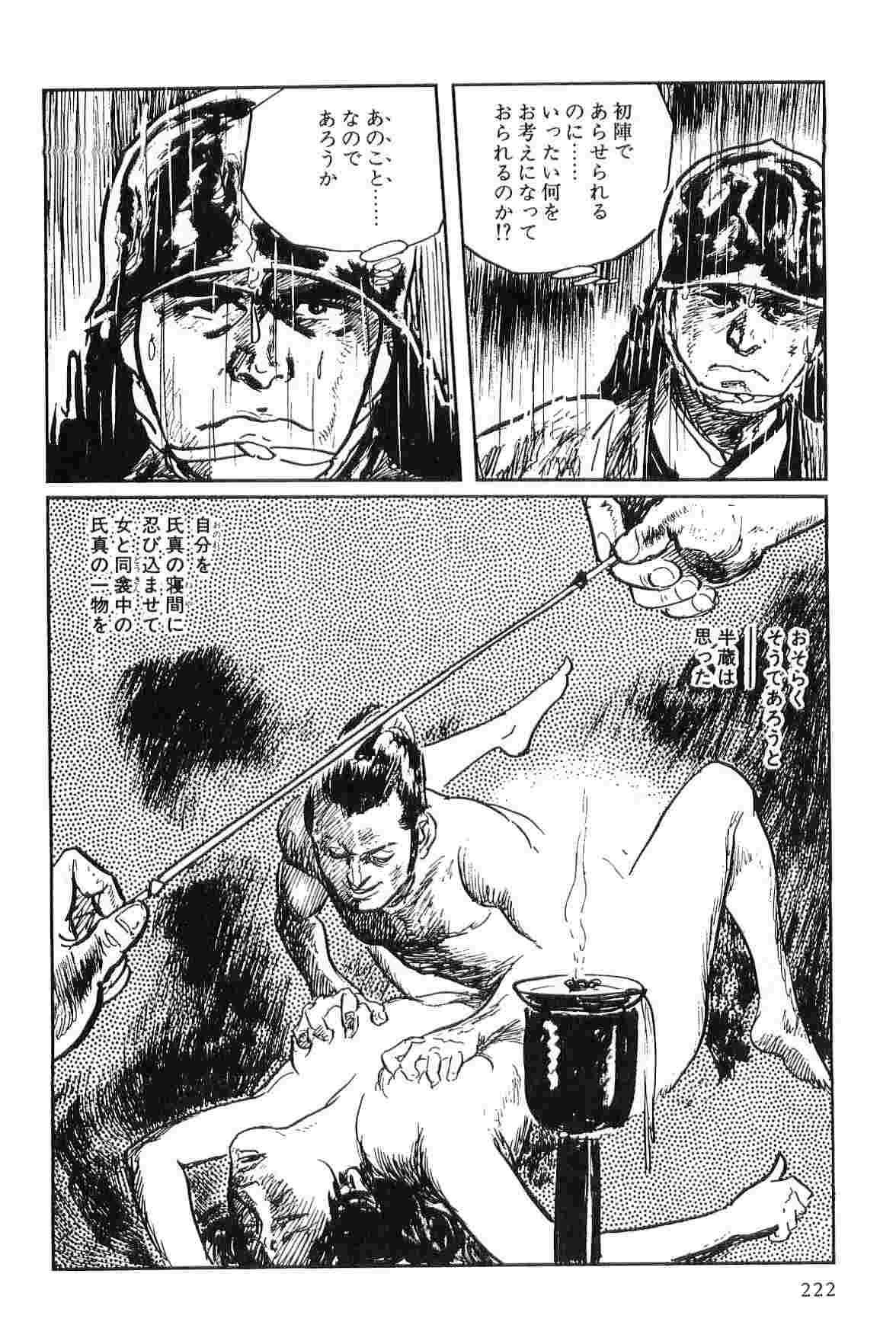Hanzou no Mon Vol.2 - Page 225