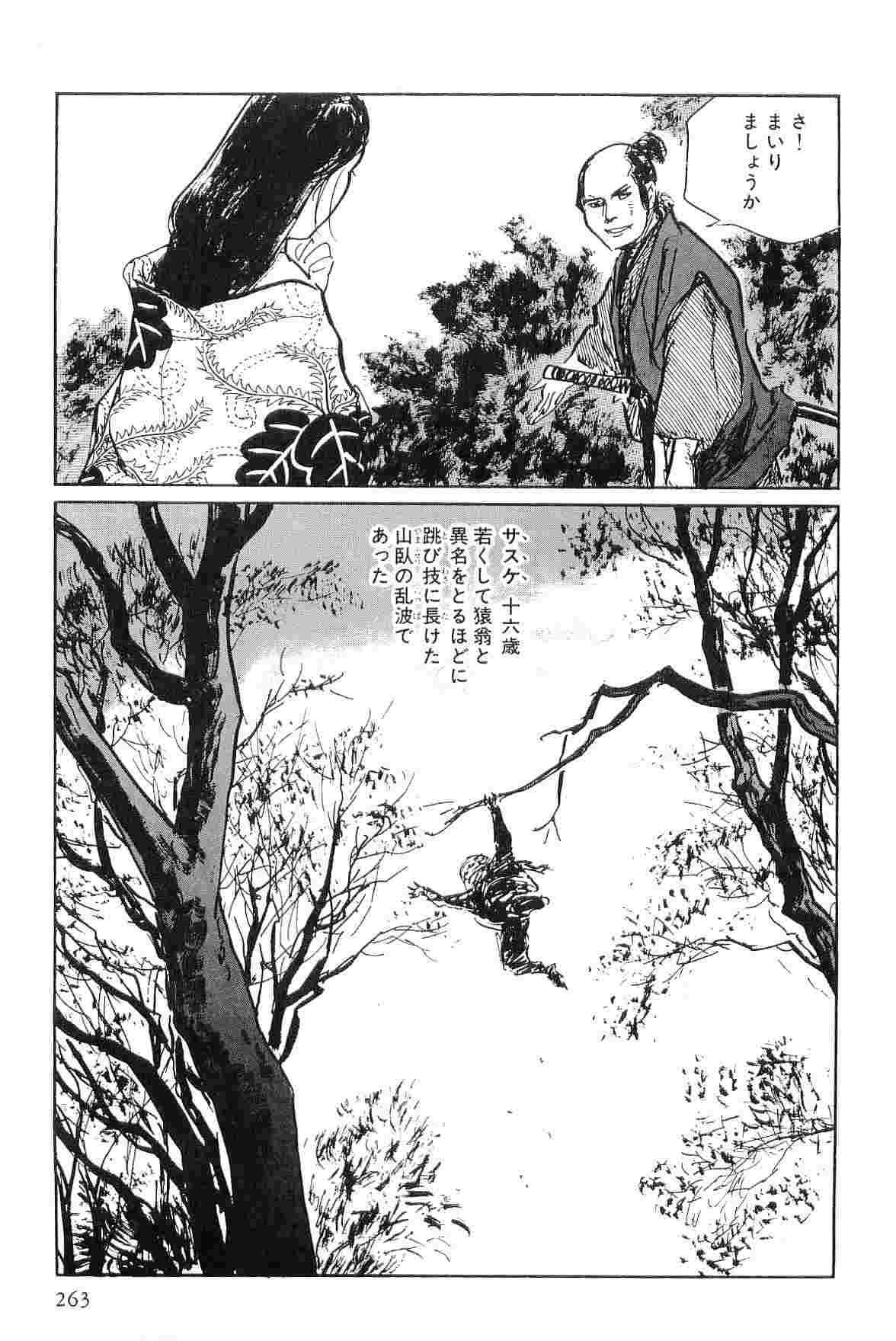Hanzou no Mon Vol.4 - Page 266