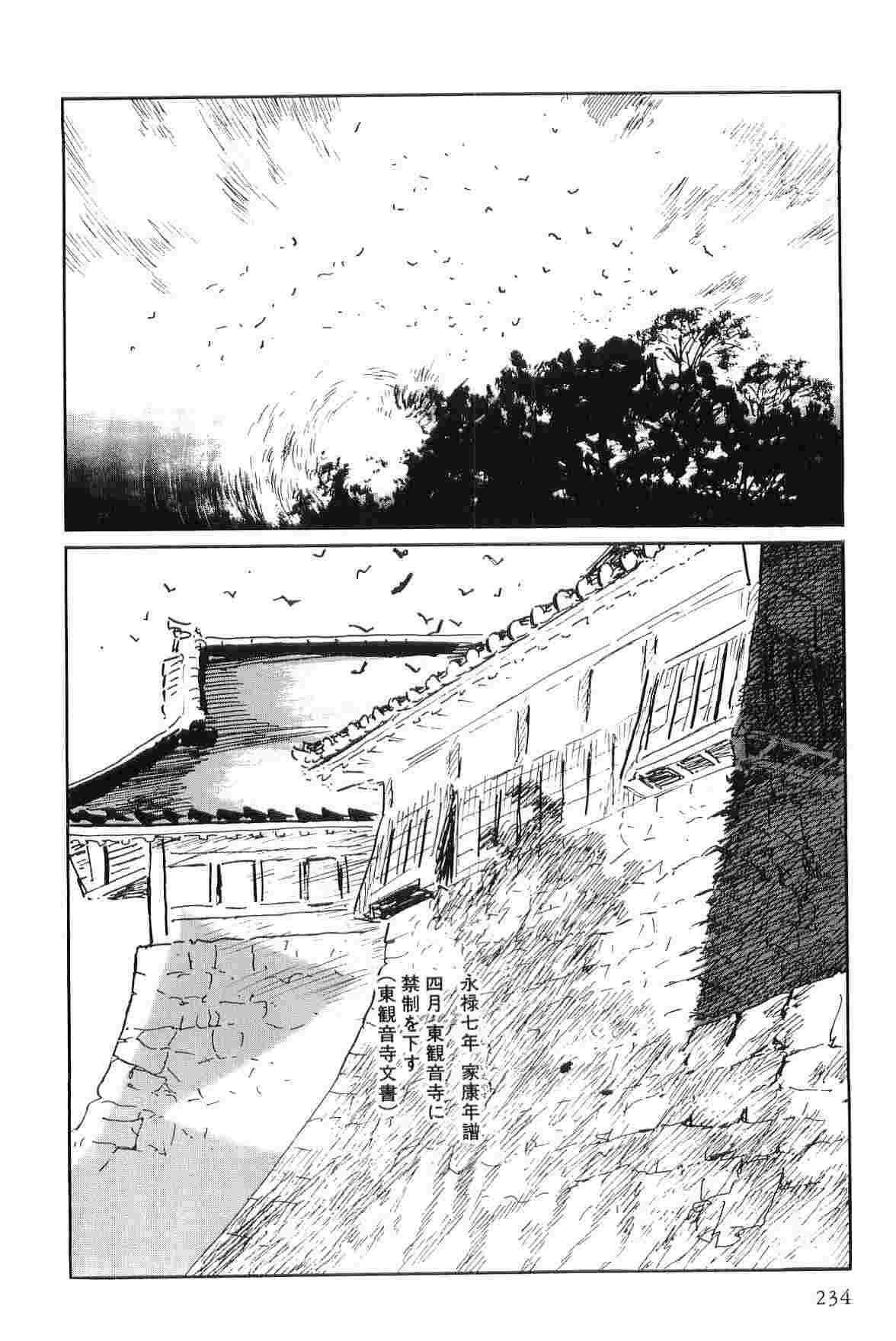 Hanzou no Mon Vol.7 - Page 237