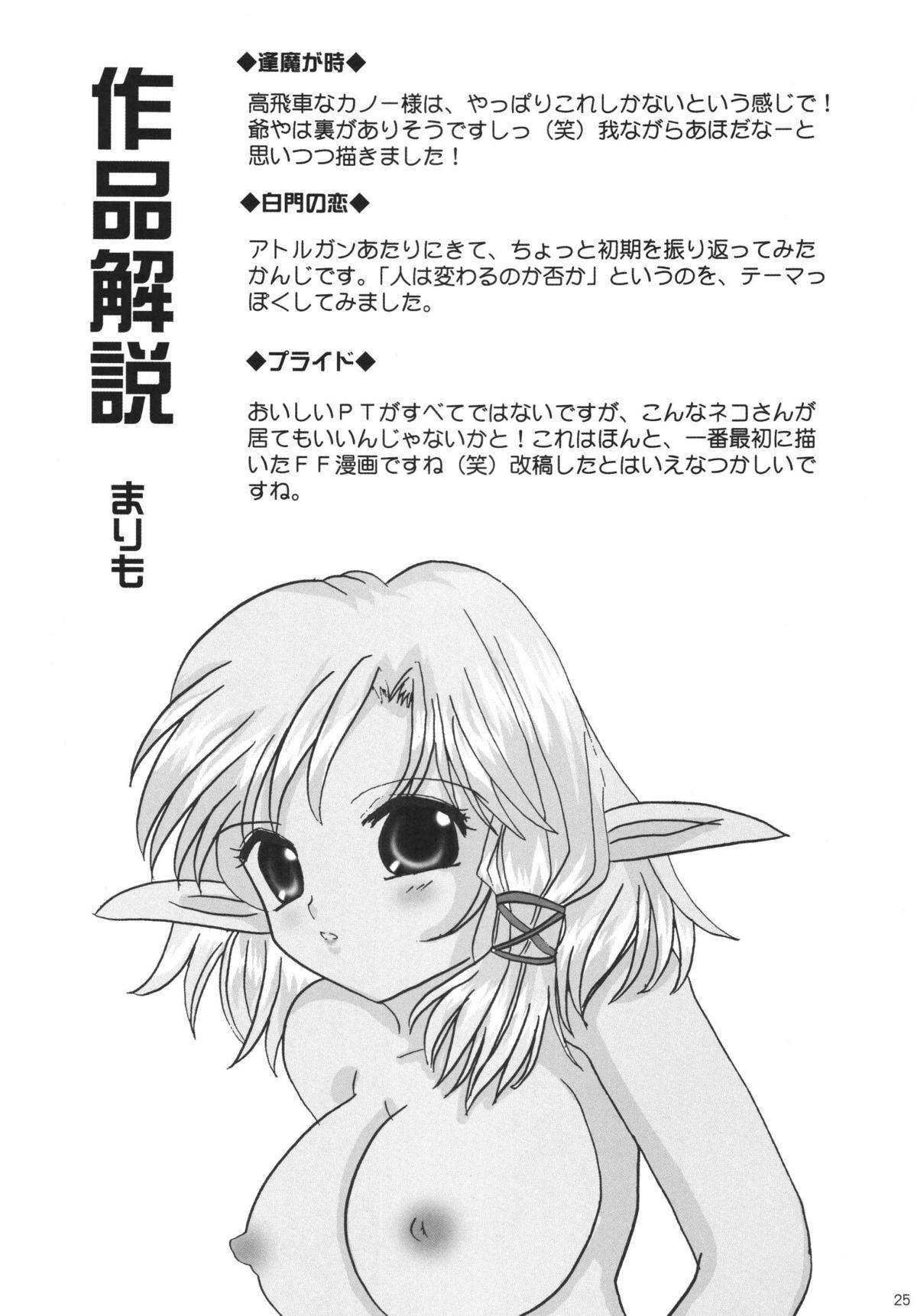 Misueru Milk - Mithra and Elvaan Ver. - Page 25