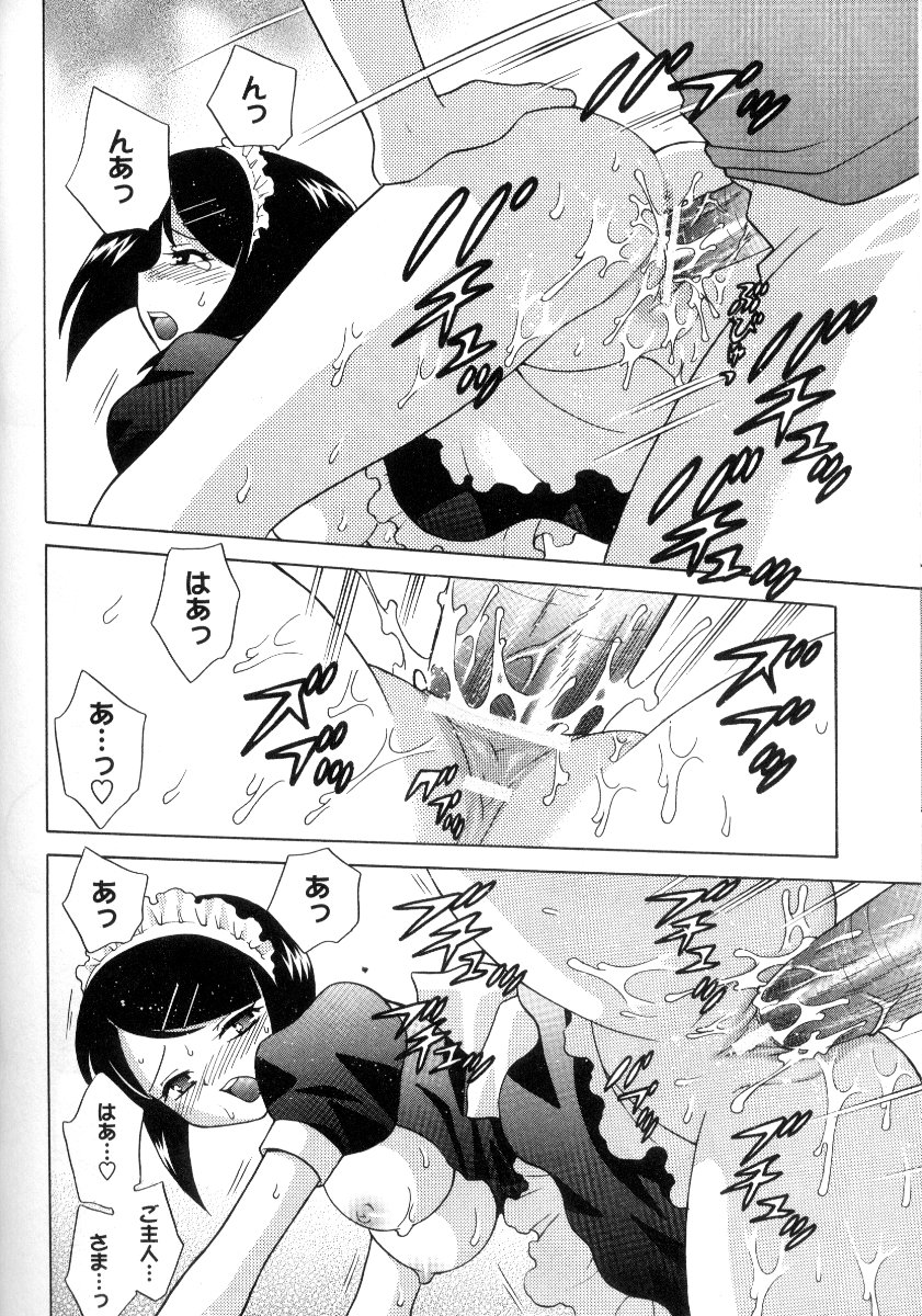 Kanzen Fukujuu Maid - Page 207