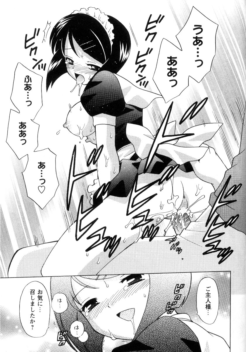 Kanzen Fukujuu Maid - Page 210