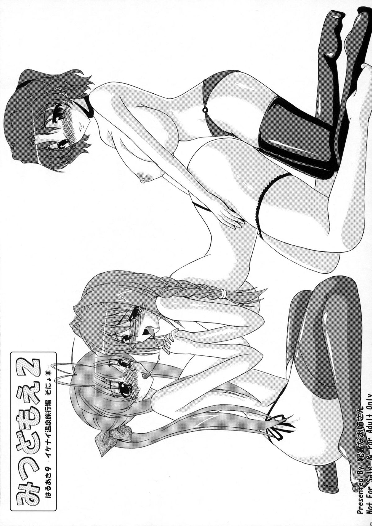 Haruaki Omakebon Soushuuhen Sonyo 2 - Page 80
