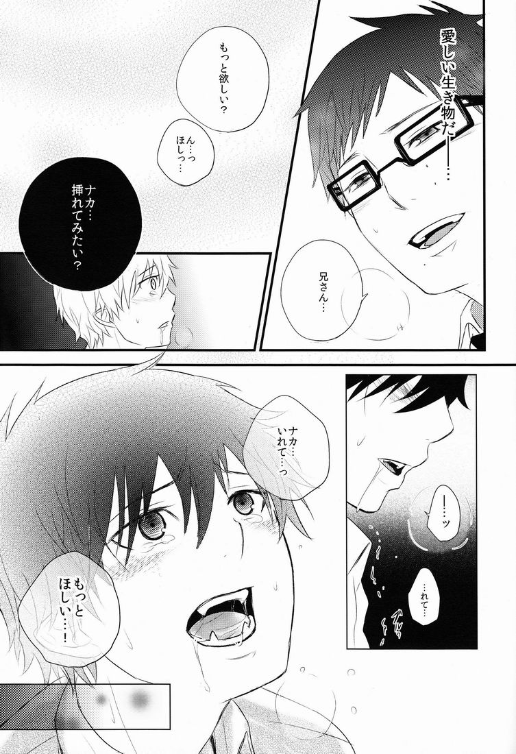 Boku wa Niisan no Inu Deii - Page 26