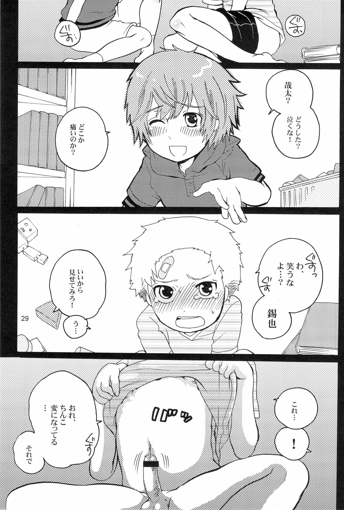 DT Kouryakuhon - Page 29