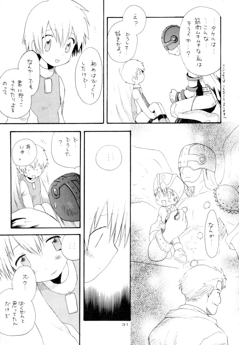 Zenda Shiro no Toriko - Page 32