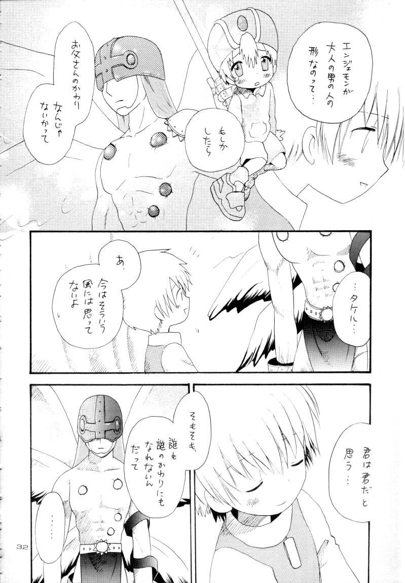Zenda Shiro no Toriko - Page 33
